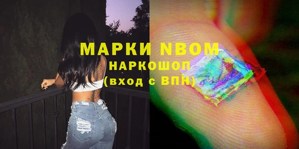 сатива Липки