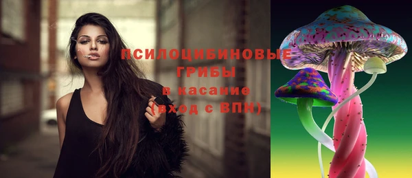 сатива Липки